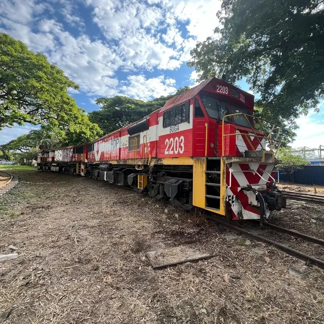 Locomotora 2203 sobre una vía rodeada de árboles